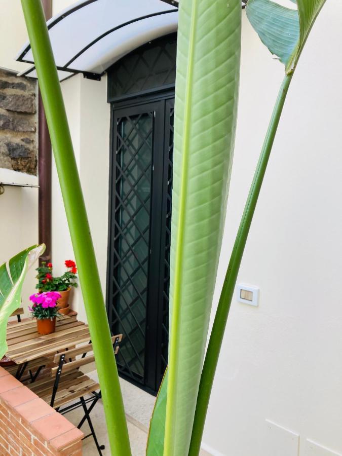 Lavica Di Mezzo Apartments คาตาเนีย ภายนอก รูปภาพ