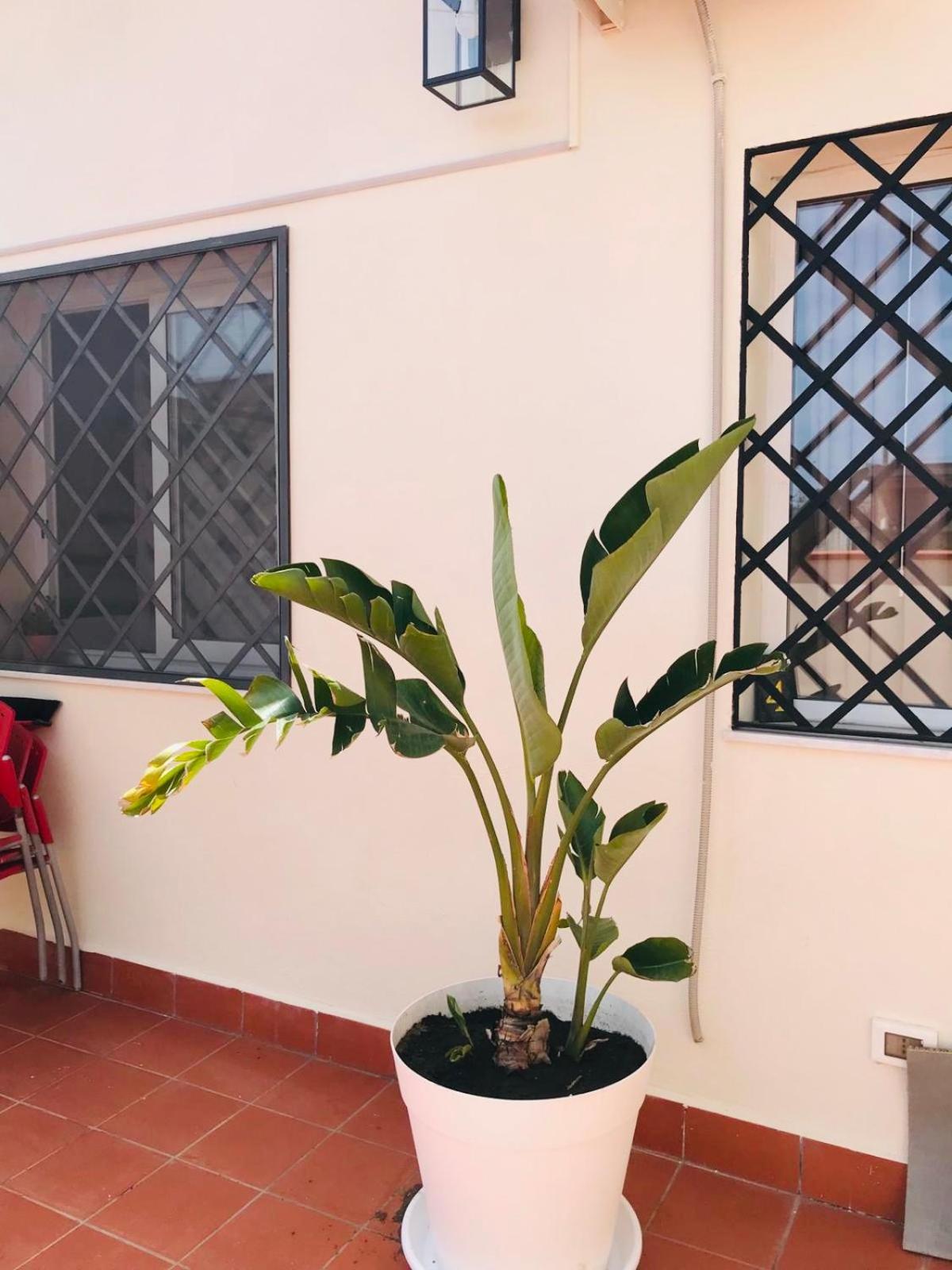 Lavica Di Mezzo Apartments คาตาเนีย ภายนอก รูปภาพ