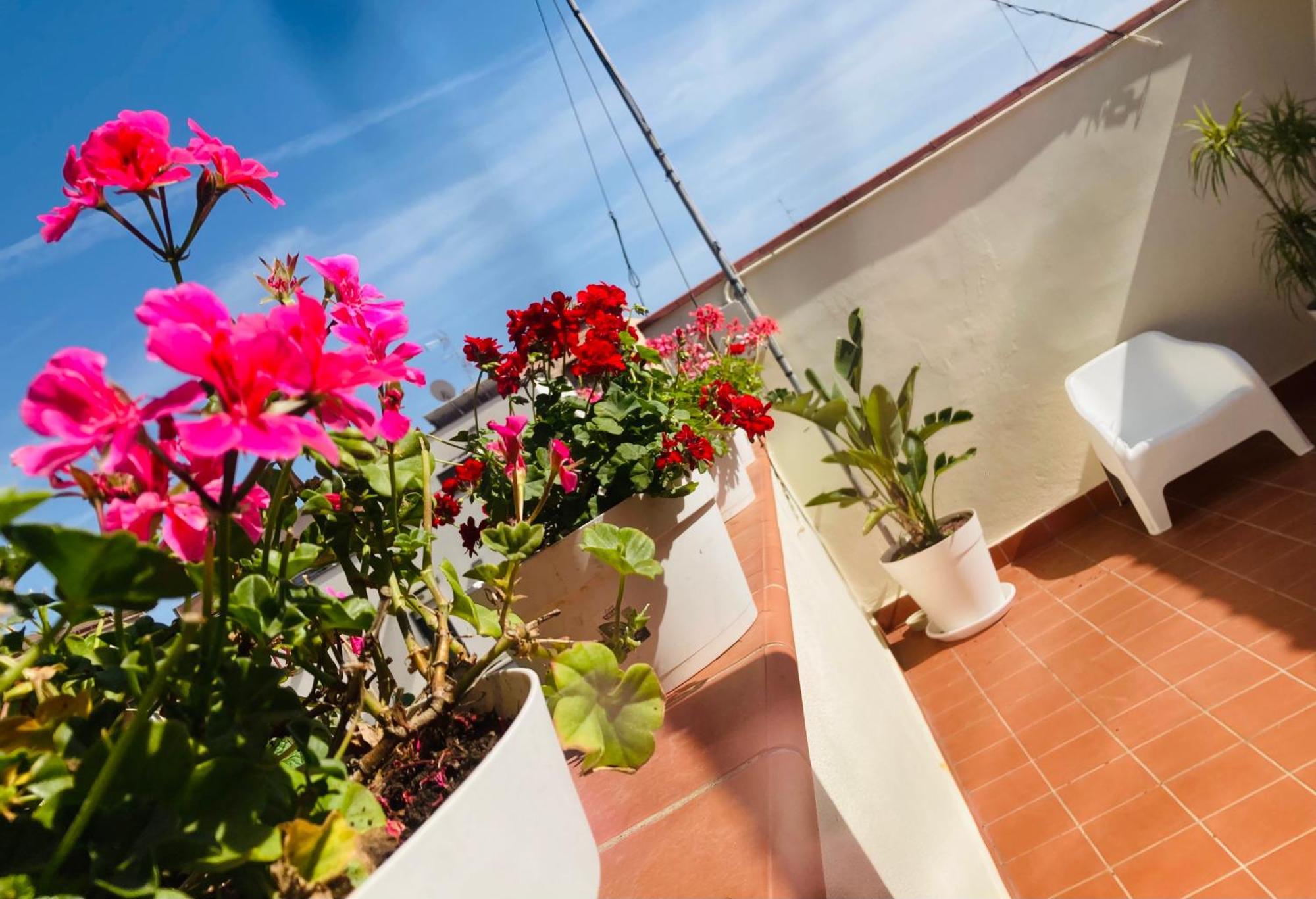 Lavica Di Mezzo Apartments คาตาเนีย ภายนอก รูปภาพ